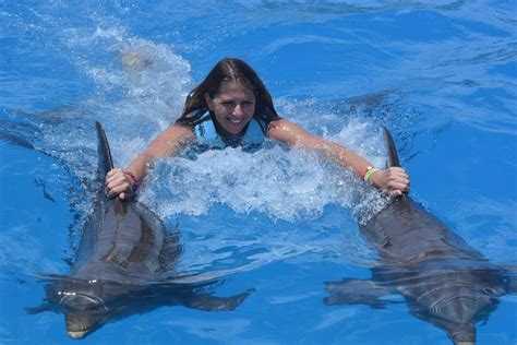 nager avec les dauphins punta cana|Baignade royale des dauphins à Punta Cana